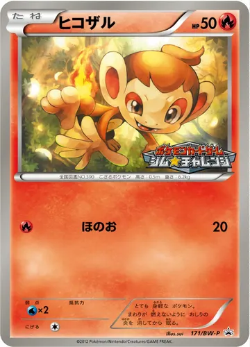 Chimchar (BW-P 171)